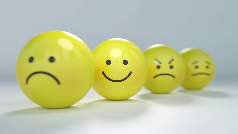 Emotions and Conflict Resolution